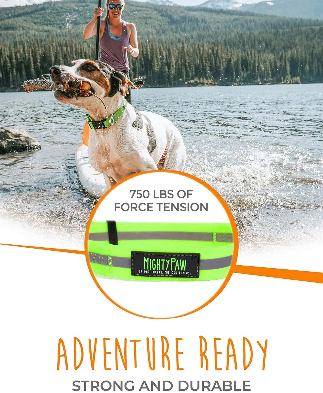 Durable and Reflective Waterproof Dog Collar