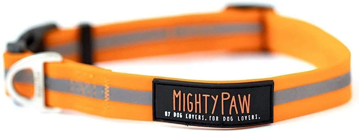 Durable and Reflective Waterproof Dog Collar