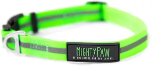 Durable and Reflective Waterproof Dog Collar