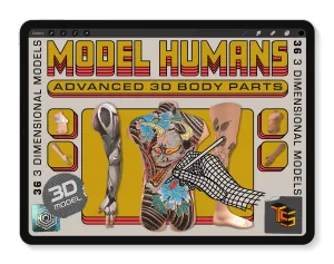 Model Humans: Advanced 3D Body Parts